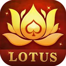 rummy make app download